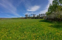 2900 mp teren intravilan in Ghidfalau I Pe malul Oltului I Oportunitate rara