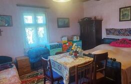 Casă autentică  3.100 mp teren, livadă si parau I Lisnau