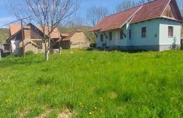 Casă autentică  3.100 mp teren, livadă si parau I Lisnau