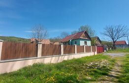 Casă autentică  3.100 mp teren, livadă si parau I Lisnau