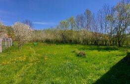 Casă autentică  3.100 mp teren, livadă si parau I Lisnau