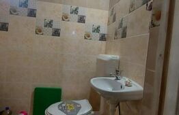 Casă autentică  3.100 mp teren, livadă si parau I Lisnau