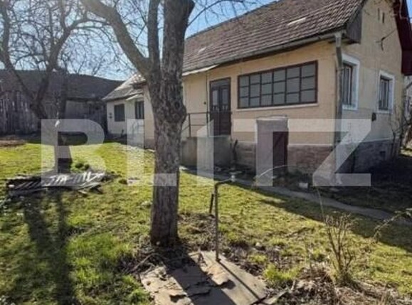 Casa de vânzare 4 camere Valea Crisului - 194547CV | BLITZ Sfântu Gheorghe | Poza4