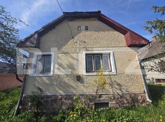 Casa de vânzare 4 camere Valea Crisului - 194547CV | BLITZ Sfântu Gheorghe | Poza3
