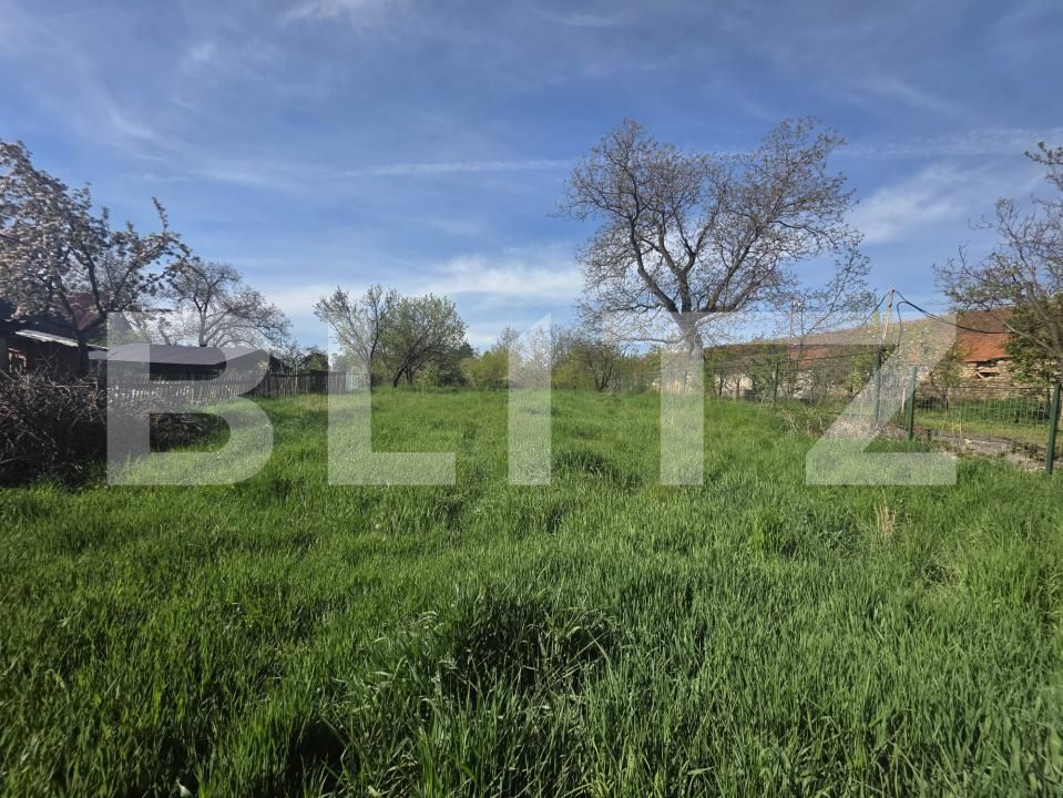Casa de vânzare 4 camere Valea Crisului - 194547CV | BLITZ Sfântu Gheorghe | Poza10