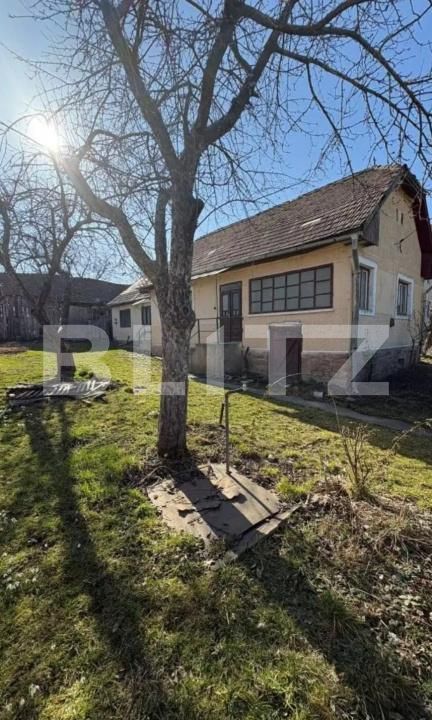 Casa de vânzare 4 camere Valea Crisului - 194547CV | BLITZ Sfântu Gheorghe | Poza4