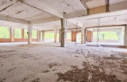 Complex imobiliar cu potențial turistic și wellness