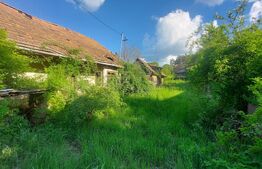 Teren intravilan 4905 mp I Livada I Casa demolabila I Magherus