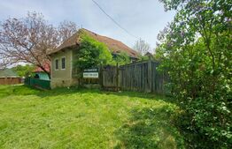 Teren intravilan 4905 mp I Livada I Casa demolabila I Magherus