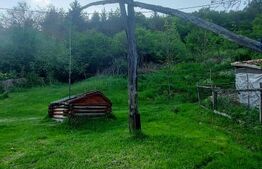 Teren intravilan 4905 mp I Livada I Casa demolabila I Magherus