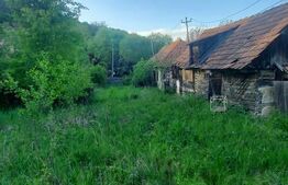 Teren intravilan 4905 mp I Livada I Casa demolabila I Magherus