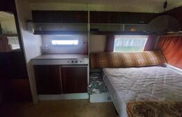 Casa cu teren de 8.570 mp cu iaz si livada I Bacel
