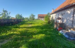 Casă lemn masiv, 50 mp,  teren și livadă, zona Telechia