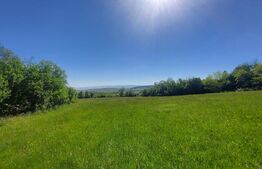 Investiție – 3,6 ha Glamping, Pensiune sau Centru Ecvestru in inima naturii