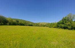 Investiție – 3,6 ha Glamping, Pensiune sau Centru Ecvestru in inima naturii