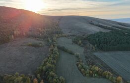 Investiție – 3,6 ha Glamping, Pensiune sau Centru Ecvestru in inima naturii