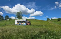 Teren extravilan de vanzare, 9000 mp - Ilieni 