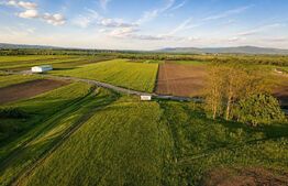 Teren extravilan de vanzare, 9000 mp - Ilieni 