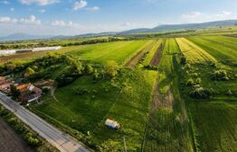 Teren extravilan de vanzare, 9000 mp - Ilieni 
