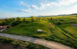 Teren extravilan de vanzare, 9000 mp - Ilieni 