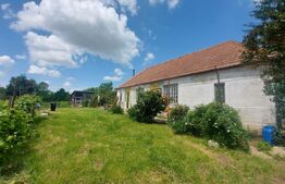 Casă solidă, teren de 2.800 mp cu livada - Aninoasa