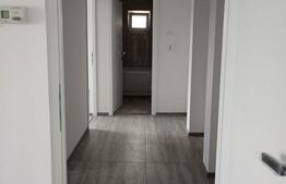Apartament cu 2 camera, renovat, luminos, cart. Lenin, Sf. Gheorghe