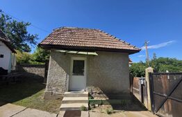 Casa traditionala din lemn in satul Zoltan