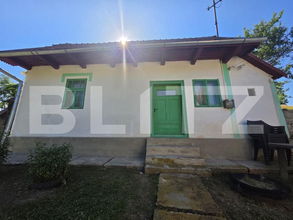 Casa de vânzare 2 camere Zoltan - 198425CV | BLITZ Sfântu Gheorghe | Poza4