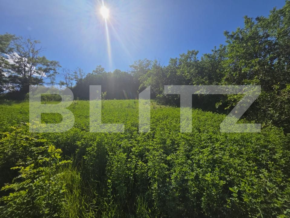 Casa de vânzare 2 camere Zoltan - 198425CV | BLITZ Sfântu Gheorghe | Poza12