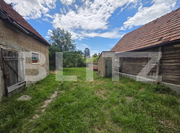 Casa de vânzare 3 camere Chichis - 198432CV | BLITZ Sfântu Gheorghe | Poza5