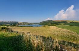 Teren intravilan 4.827 mp la doar 50 m de lac – Pădureni, com. Moacșa