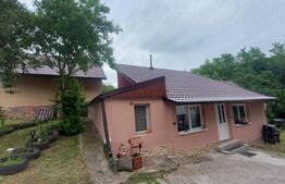 Valcele - 3 Case + 1.980 mp teren intravilan I Ape minerale și aer curat 