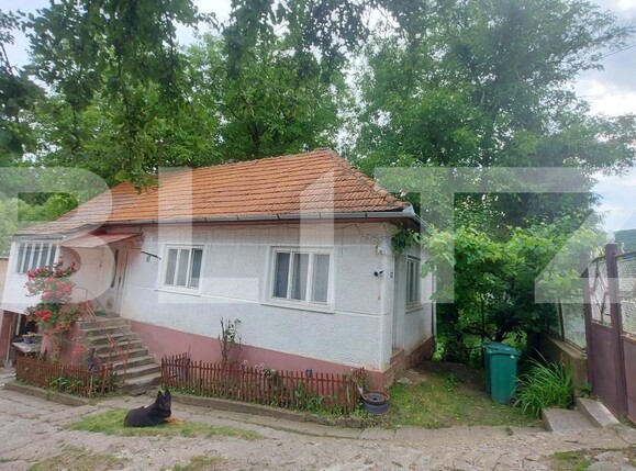 Casa de vânzare 7 camere Valcele - 199040CV | BLITZ Sfântu Gheorghe | Poza3