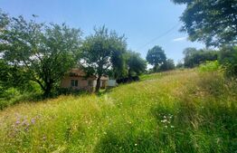 Casa + teren intravilan 4.000 mp I Potential agro-turistic I Barcani 