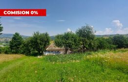 Casa + teren intravilan 4.000 mp I Potential agro-turistic I Barcani 