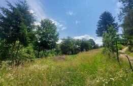 Casa + teren intravilan 4.000 mp I Potential agro-turistic I Barcani 