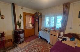 Casa + teren intravilan 4.000 mp I Potential agro-turistic I Barcani 