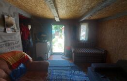 Casa + teren intravilan 4.000 mp I Potential agro-turistic I Barcani 