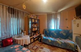 Casa + teren intravilan 4.000 mp I Potential agro-turistic I Barcani 