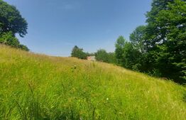 Casa + teren intravilan 4.000 mp I Potential agro-turistic I Barcani 