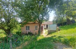 Casa + teren intravilan 4.000 mp I Potential agro-turistic I Barcani 