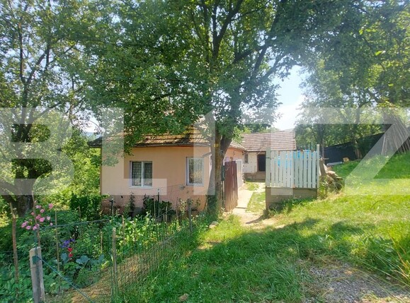 Casa de vânzare 2 camere Barcani - 199458CV | BLITZ Sfântu Gheorghe | Poza3