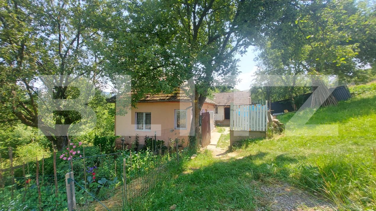 Casa de vânzare 2 camere Barcani - 199458CV | BLITZ Sfântu Gheorghe | Poza3