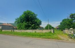 Casa + teren intravil, 3.6 ha I Zagon I Potential turistic si investitional