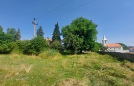 Casa + teren intravil, 3.6 ha I Zagon I Potential turistic si investitional