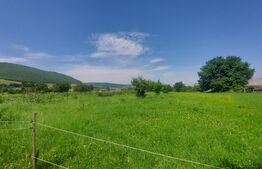 Casa + teren intravil, 3.6 ha I Zagon I Potential turistic si investitional