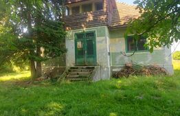 Casa + teren intravil, 3.6 ha I Zagon I Potential turistic si investitional