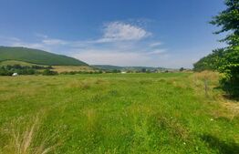 Casa + teren intravil, 3.6 ha I Zagon I Potential turistic si investitional