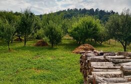 Casă familială cu curte și grădină, sat Mărcus, com. Dobârlău