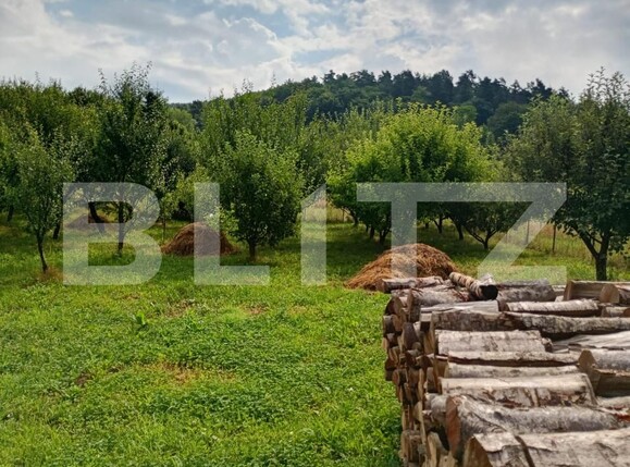 Casa de vânzare 3 camere Marcus - 199621CV | BLITZ Sfântu Gheorghe | Poza2